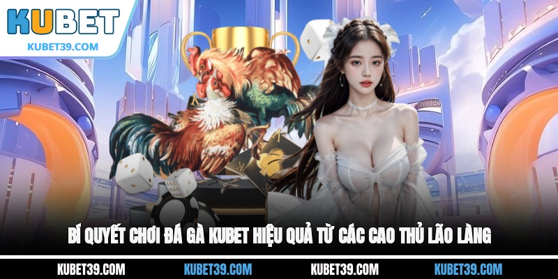 Bí quyết chơi đá gà KUBET hiệu quả từ các cao thủ lão làng